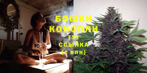 прущий лед Рославль