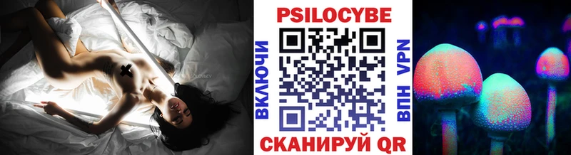 Галлюциногенные грибы Cubensis Бежецк
