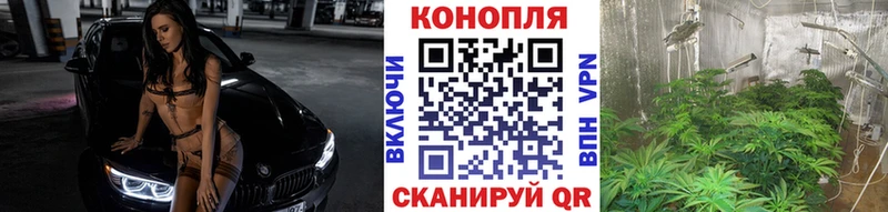 Канабис индика  Купить где  Бежецк 